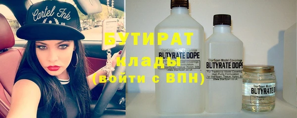 индика Арсеньев