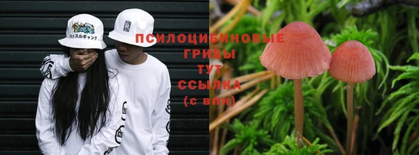 индика Арсеньев