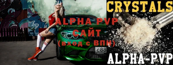 индика Арсеньев