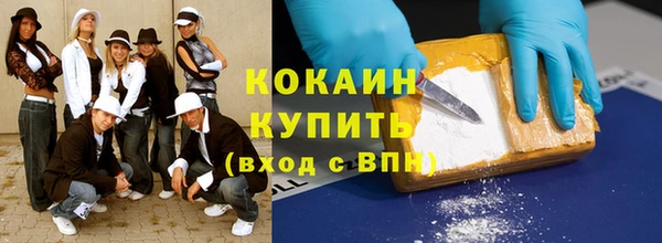 индика Арсеньев