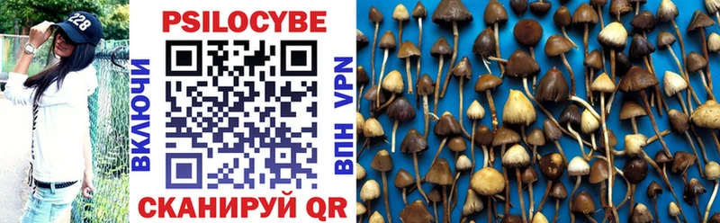 Галлюциногенные грибы прущие грибы  Родники 