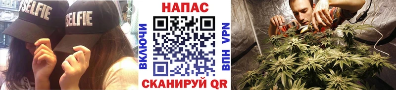 МАРИХУАНА гибрид МЕГА как войти Родники купить сайты